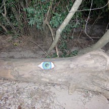 Eye on the beach